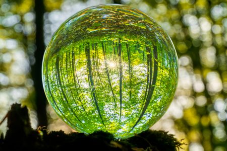 Umweltkonzept - Kristallerde auf Moos im Wald mit Farnen und Sonnenlicht - Umwelt, sauberen Planeten retten, Ökologiekonzept.