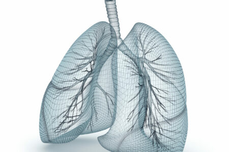 Eine dreidimensionale grafische Darstellung menschlicher Lungen, die die komplexe Struktur der Atemwege und des Gewebes zeigt. Dieses Bild wird genutzt, um die Bedeutung der Atemtherapie und speziell der Behandlung von Mukoviszidose in der Praxis Schulze-Bramey zu veranschaulichen.